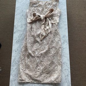 Adrianna Papell Dress